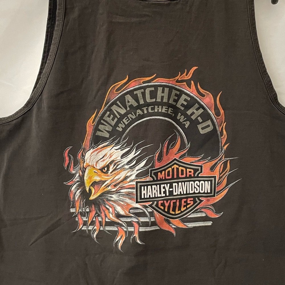 Vintage distressed, Harley Davidson men’s tank top size 2X